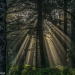 3620 Crepuscular Rays ('God Beams'), Hug Point, Oregon Coast