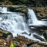 3791 Cayuga Waterfall, Ricketts Glen State Park, PA