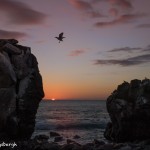3839 Sunset, Espanola Island, Galapagos
