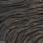3916 Lava Pattern, Santiago Island, Galapagos