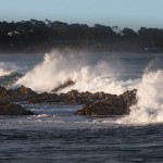 4122 Wave Action, Asilomar Beach, Big Sur, CA