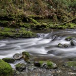 4239 Cascades, Rainforest, Vancouver Island, BC