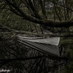 4357 Rowboat, Killarney National Park, Co. Kerry