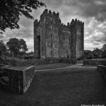 4394 Bunratty Castle, Co. Clare, Ireland