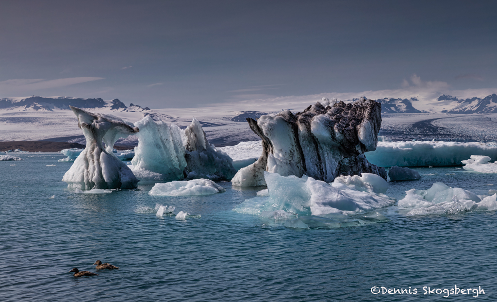 4527 Icebergs, Jökulsárlón Glacier Lagoon, Iceland - Dennis Skogsbergh ...