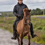 4574 Icelandic Horse Training