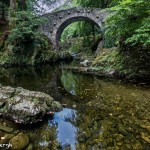 4677 Foley's Bridge, Tollymore Forest Park, Northern Ireland