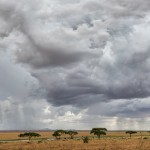 4736 Serengeti, Tanzania