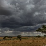 4738 Storms on the Serengeti, Tanzania