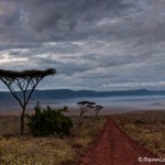 4753 Sunrise, Ngorongoro Crater, Tanzania