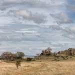 4819 Central Serengeti, Tanzania