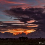 4829 Sunset at Camp, NE Serengeti, Tanzania