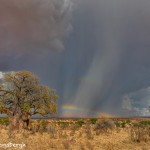 4869 Storms, Tarangire National Park, Tanzania