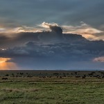 4897 Sunset, Serengeti, Tanzania