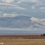4931 Morning, Ngorongoro Crater, Tanzania