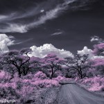 4984 Infrared Landscape, Tanzania