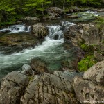 5295 Greenbriar Cascade, Spring, Great Smoky Mountain National Park, TN