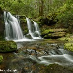 5298 Spring, Rhododendron Creek Waterfall, Great Smoky Mountains National Park, TN