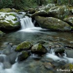 5299 Cascade, Spring, Great Smoky Mountains National Park, TN