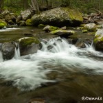 5310 Cascade, Sam's Creek, Spring, Great Smoky Mountains National Park, TN