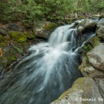 5317 Cascade, Spring, Great Smoky Mountains National Park, TN