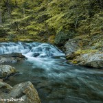 5324 Cascade, Great Smoky Mountains National Park, TN