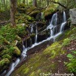 5329 Waterfall, Spring, Great Smoky Mountains National Park, TN