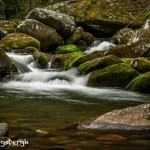5332 Cascade, Spring, Great Smoky Mountains National Park, TN