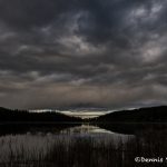 5413 Rainy Morning, Lac Le Jeune, BC