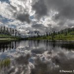 5485 Picture Lake, North Cascades National Park, WA