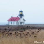 Point Cabrillo Light Station, Mendocino, California