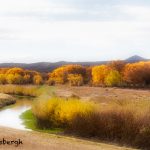 5753 November Colors, Bosque del Apache NWR, New Mexico