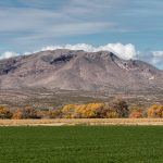 5761 November Colors, Bosque del Apache NWR, New Mexico