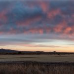5783 Sunset, Bosque del Apache NWR, New Mexico