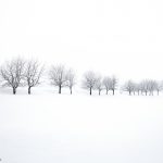 7008 Winter Landscape, Biei, Japan