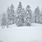 7020 Winter Landscape, Mount Asahi, Japan