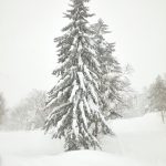 7021 Winter Landscape, Mount Asahi, Japan