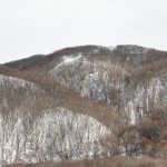 7053 Winter Landscape, Hokkaido, Japan