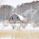 7061 Winter Landscape, Barn in Oumu, Hokkaido, Japan