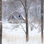 7063 Winter Landscape, Barn in Oumu, Hokkaido, Japan