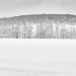 7068 Panorama Winter Landscape, Oumu, Hokkaido, Japan
