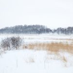 7069 Winter Landscape, Oumu, Hokkaido, Japan