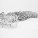 7072 Winter Landscape, Oumu, Hokkaido, Japan