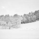 7078 Winter Landscape, Oumu, Hokkaido, Japan