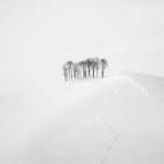 7081 Winter Landscape, Hokkaido, Japan