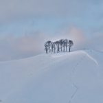 7082 Winter Landscape, Hokkaido, Japan