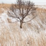 7115 Winter Landscape, Saroma Lake, Hokkaido, Japan