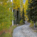 7260 Autumn Colors, San Juan Mountains