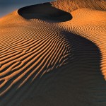 1041 Sand Dunes, Death Valley
