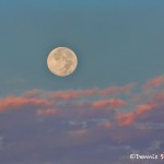 1525 Sunrise, Full Moon, Hagerman National Wildlife Refuge, TX